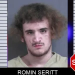 Romin Seritt Mugshots