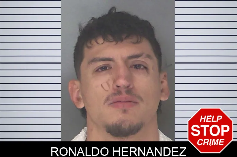 Ronaldo Hernandez Mugshots