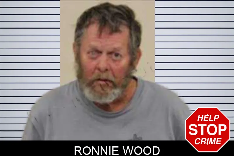 Ronnie Wood Mugshots