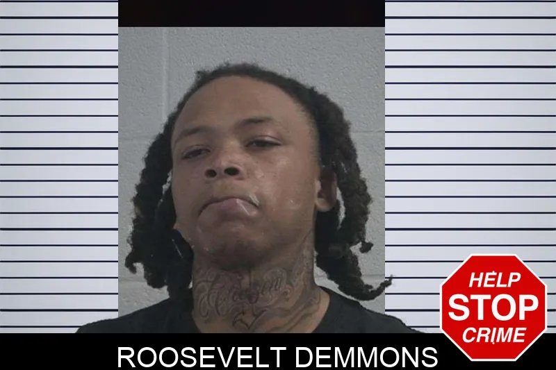 Roosevelt Demmons Mugshots