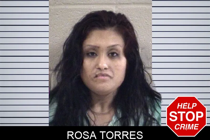 Rosa Torres Mugshots