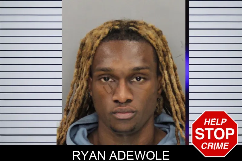 Ryan Adewole Mugshots