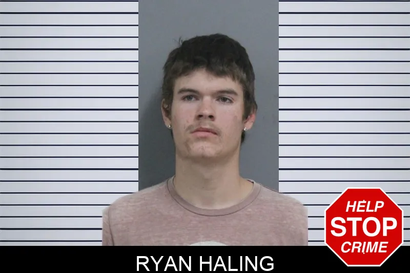Ryan Haling Mugshots