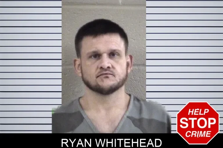 Ryan Whitehead