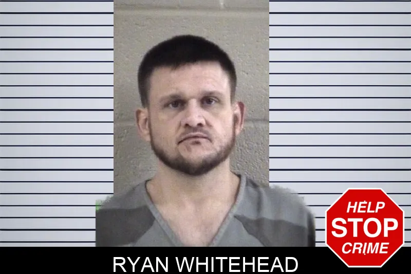 Ryan Whitehead Mugshots