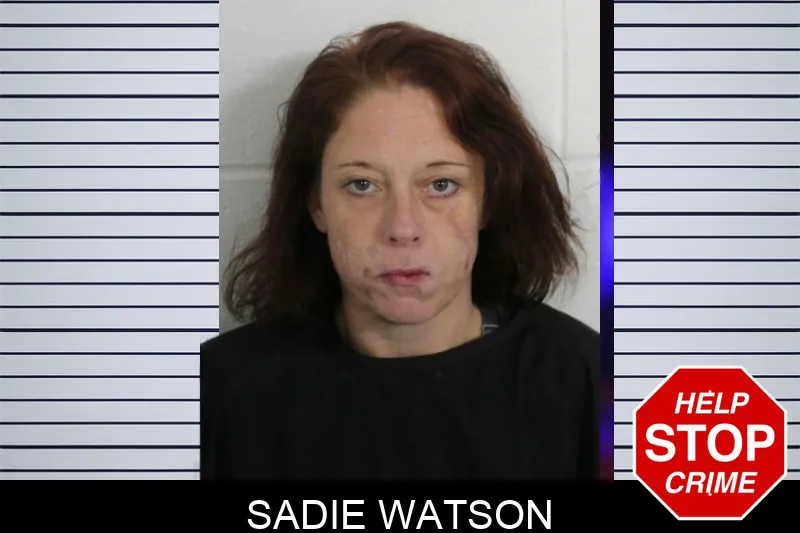 Sadie Watson Mugshots
