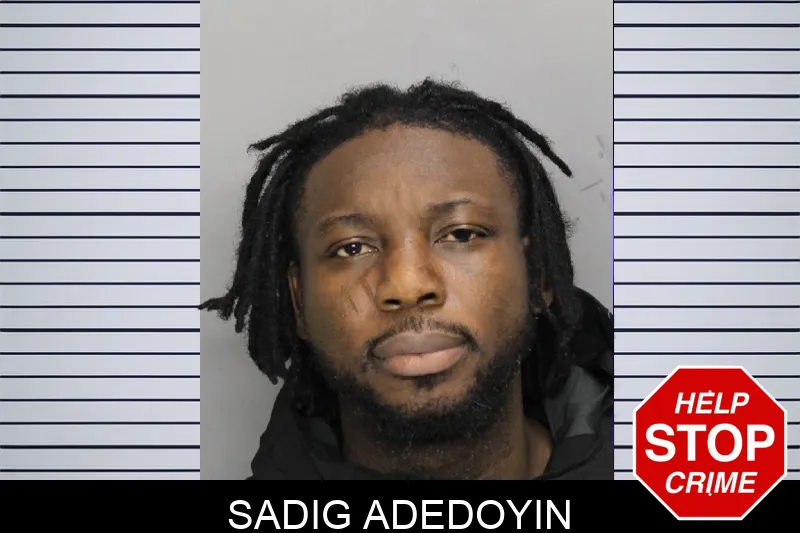 Sadig Adedoyin Mugshots