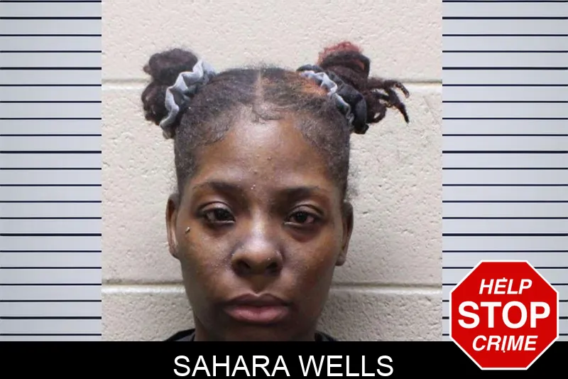Sahara Wells Mugshots