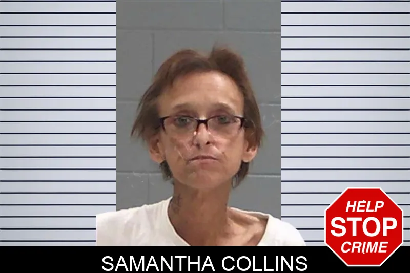 Samantha Collins Mugshots