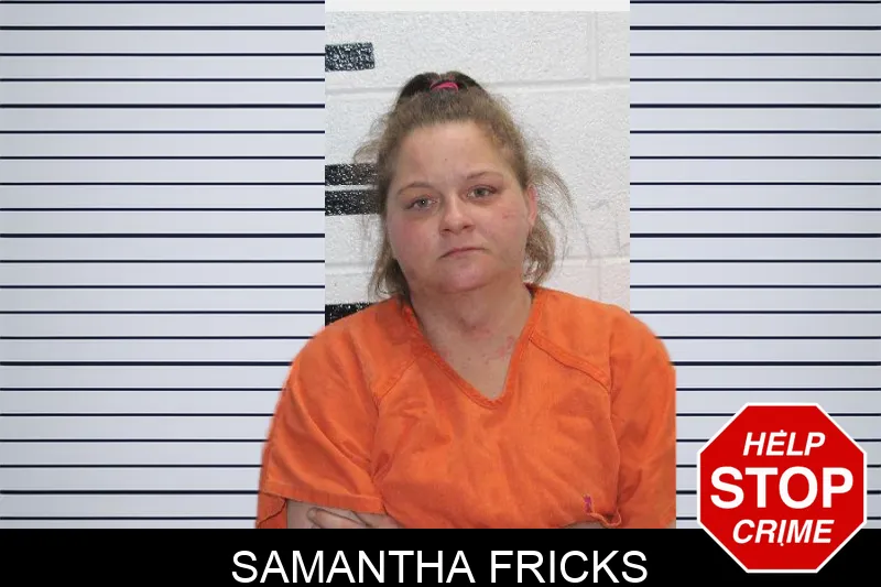 Samantha Fricks Mugshots