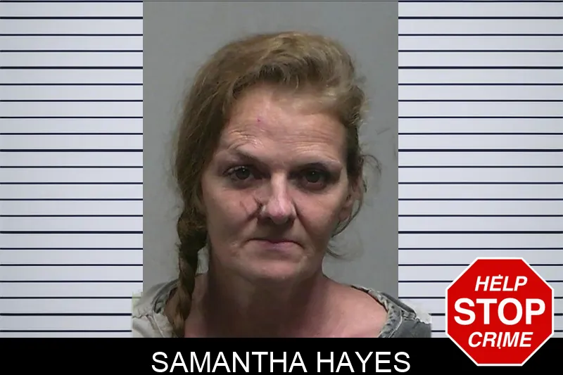 Samantha Hayes Mugshots