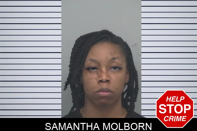 Samantha Molborn mugshot – Gwinnett County , Georgia Samantha Molborn mugshot