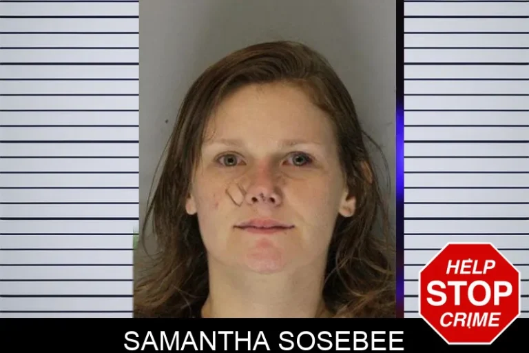 Samantha Sosebee mugshot – Hall County , Georgia Samantha Sosebee
