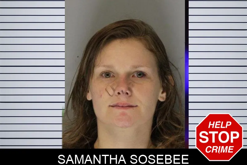 Samantha Sosebee mugshot