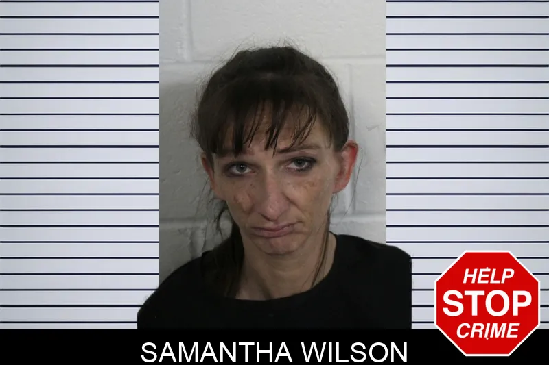 Samantha Wilson Mugshots