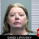 Sandi Lipovsky Mugshots
