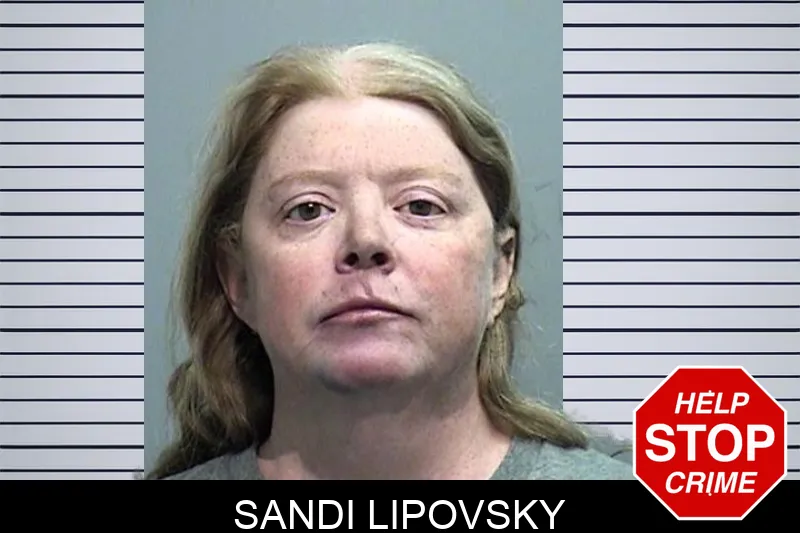 Sandi Lipovsky Mugshots