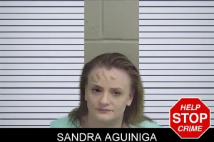 Sandra Aguiniga mugshot