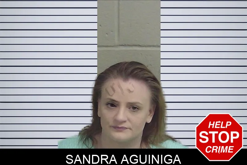 Sandra Aguiniga Mugshots
