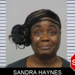 Sandra Haynes Mugshots
