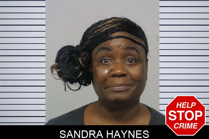 Sandra Haynes Mugshots