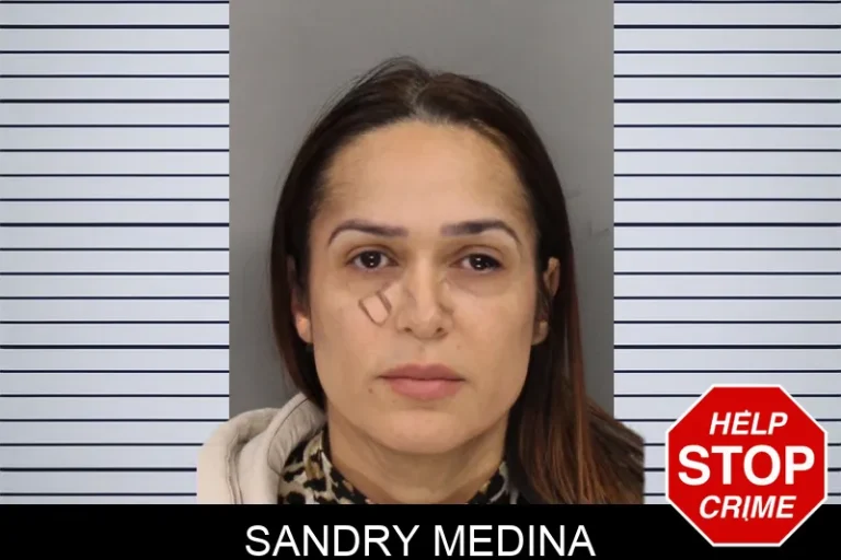 Sandry Medina mugshot – Cobb County , Georgia Sandry Medina