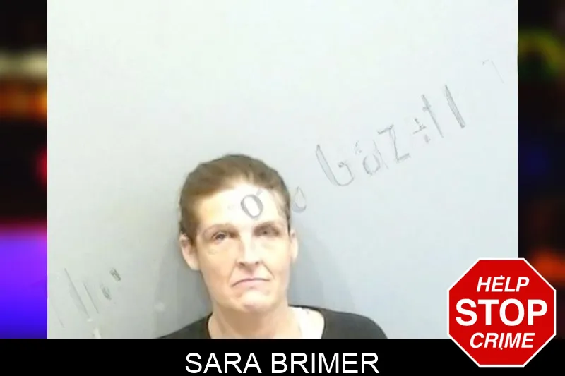Sara Brimer mugshot – Fulton County , Georgia Sara Brimer mugshot
