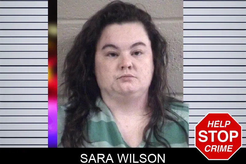 Sara Wilson Mugshots