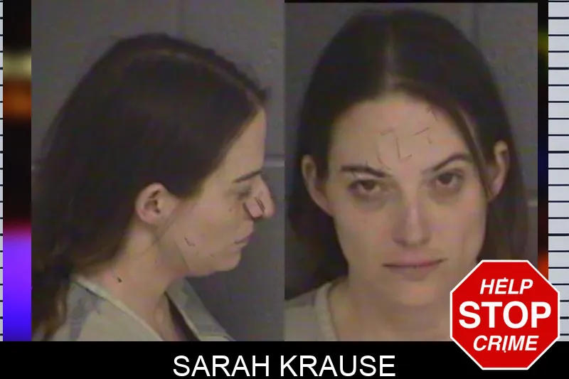 Sarah Krause Mugshots