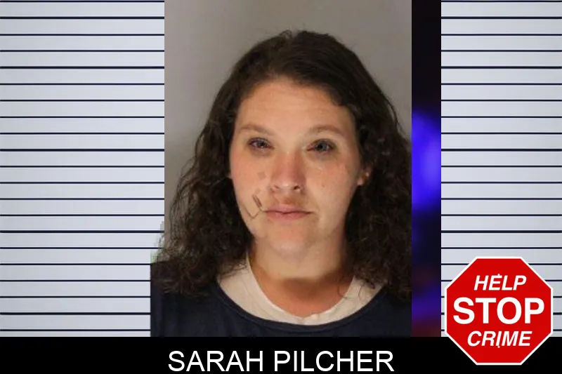 Sarah Pilcher mugshot – Hall County , Georgia Sarah Pilcher mugshot