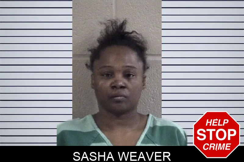 Sasha Weaver Mugshots