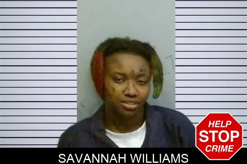 Savannah Williams Mugshots