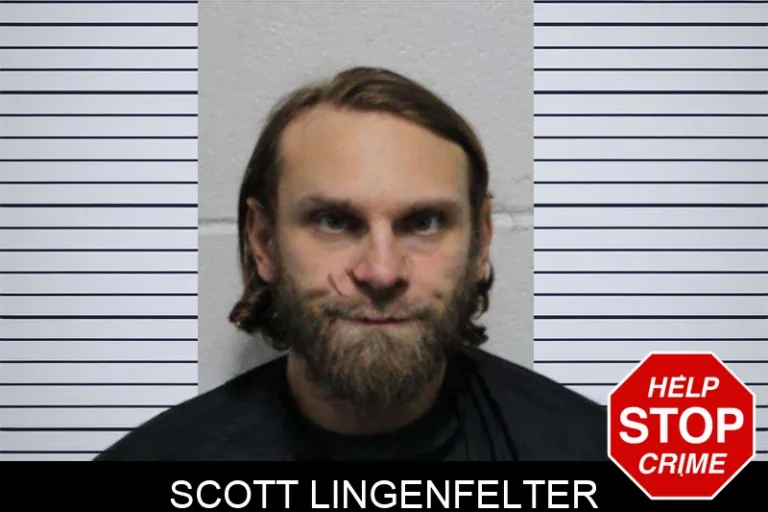 Scott Lingenfelter