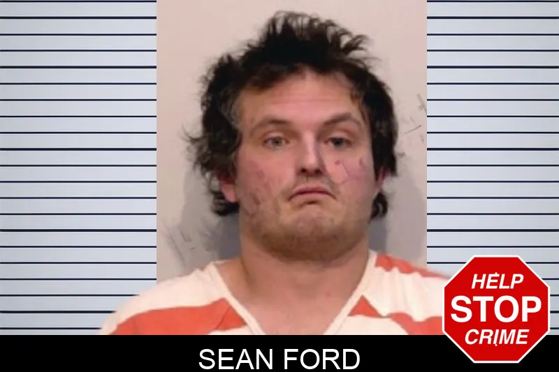 Sean Ford Mugshots