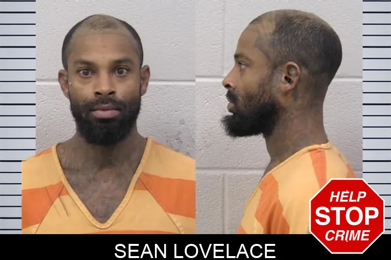 Sean Lovelace Mugshots