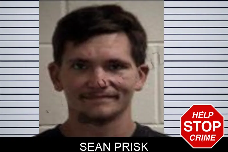 Sean Prisk Mugshots