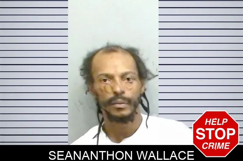 Seananthon Wallace mugshot – Fulton County , Georgia Seananthon Wallace mugshot