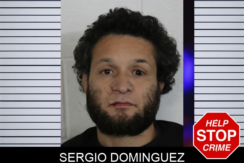 Sergio Dominguez Mugshots