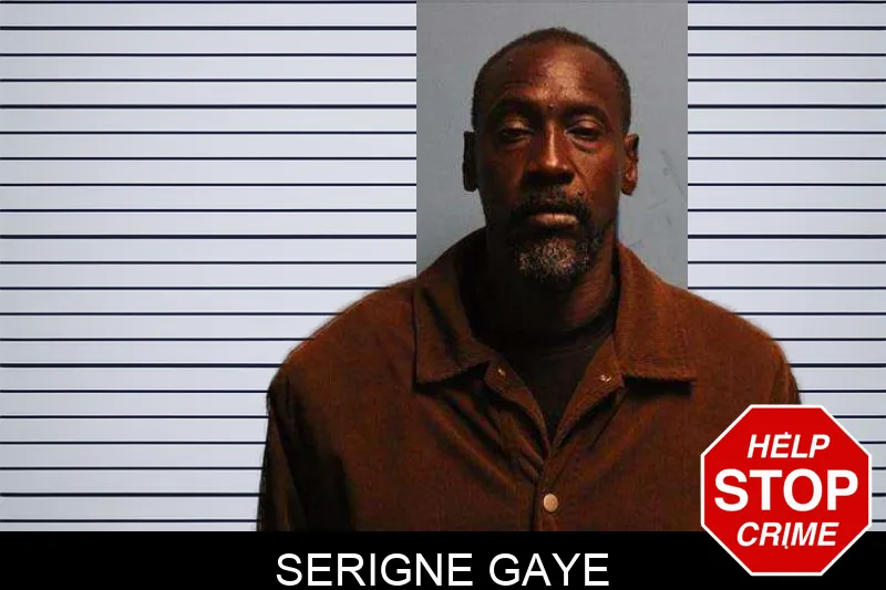 Serigne Gaye Mugshots