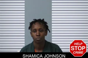 Shamica Johnson mugshot