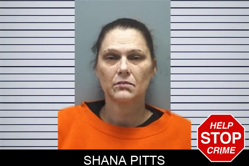 Shana Pitts Mugshots
