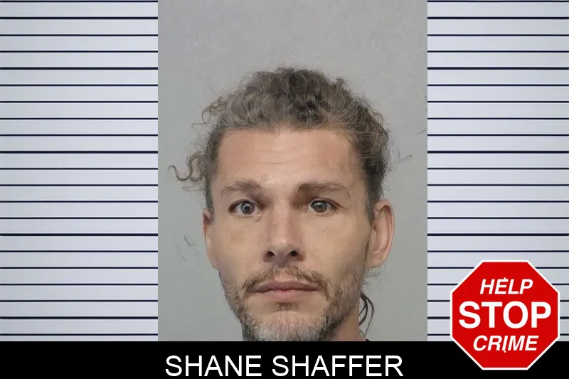 Shane Shaffer Mugshots