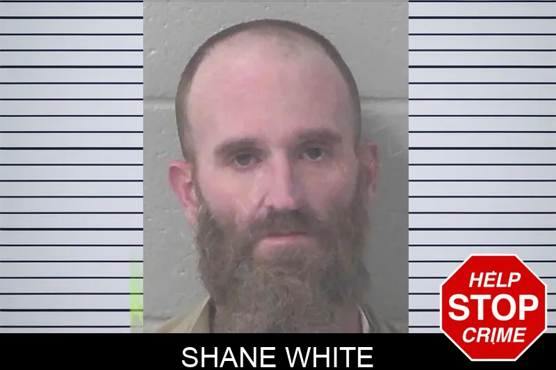 Shane White Mugshots