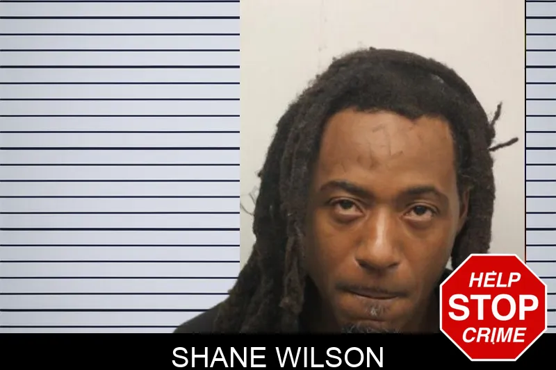 Shane Wilson Mugshots