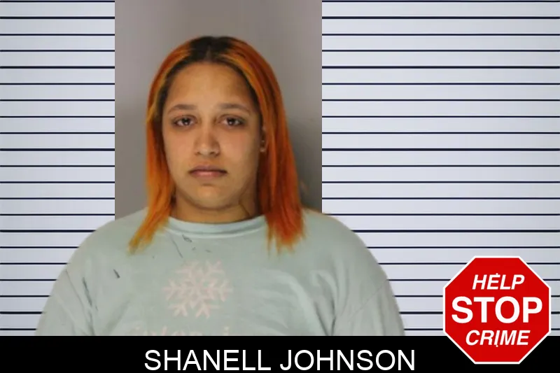 Shanell Johnson Mugshots