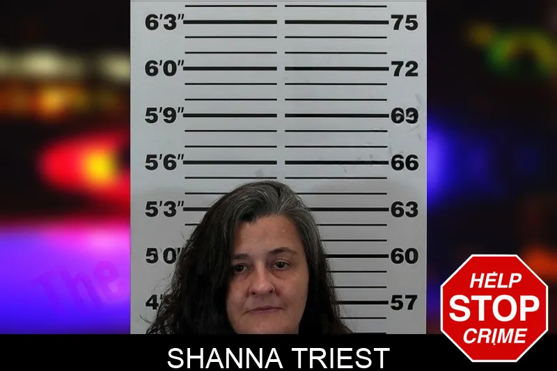 Shanna Triest Mugshots