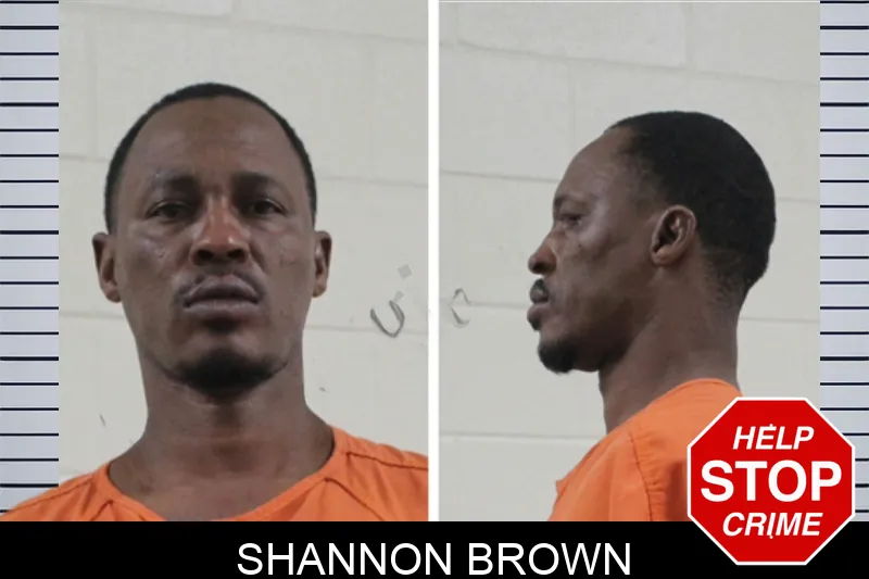 Shannon Brown Mugshots