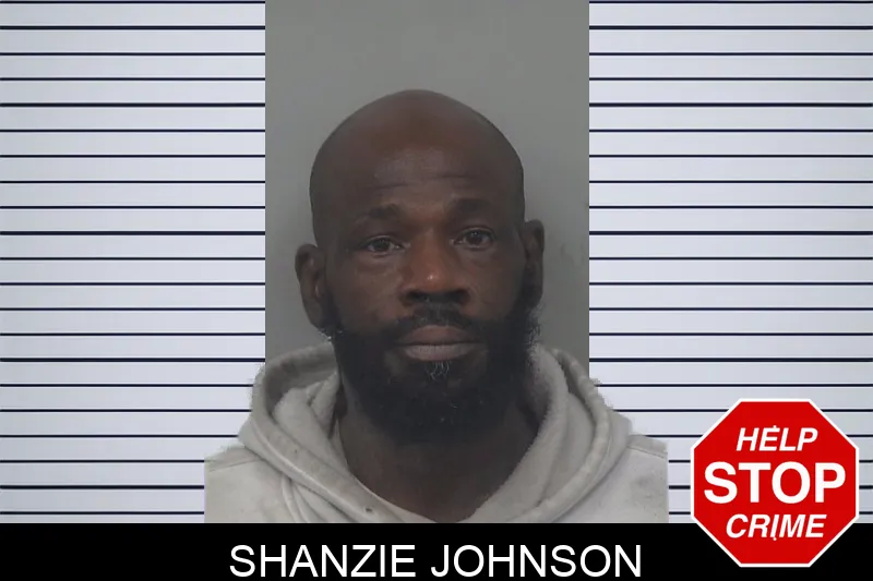 Shanzie Johnson Mugshots