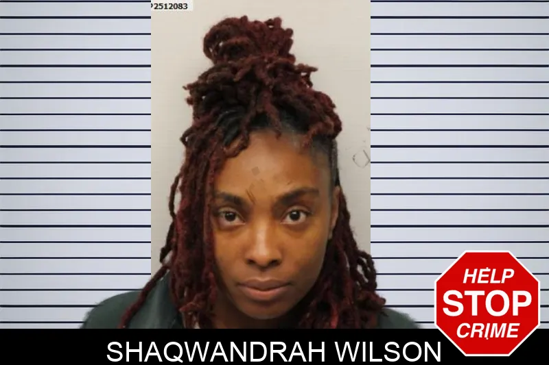 Shaqwandrah Wilson Mugshots