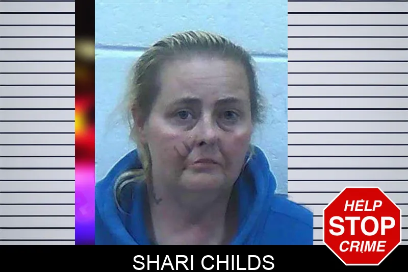 Shari Childs Mugshots